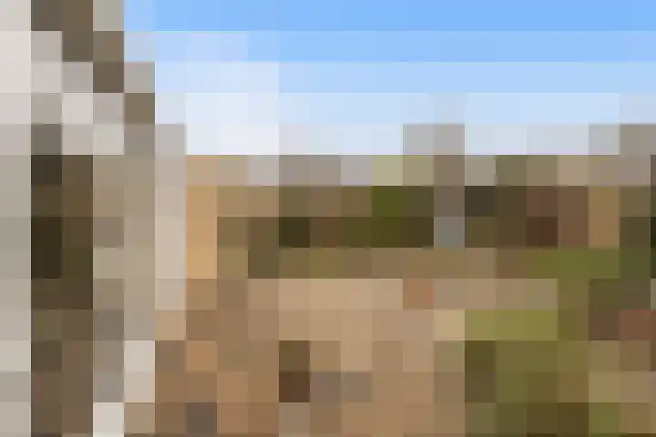 Rivierenlaan 8 Rozenburg thumbnail 25