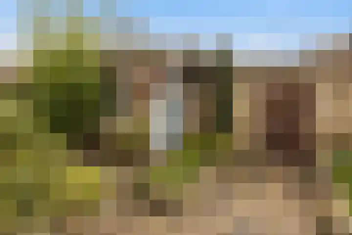 Rivierenlaan 8 Rozenburg thumbnail 26