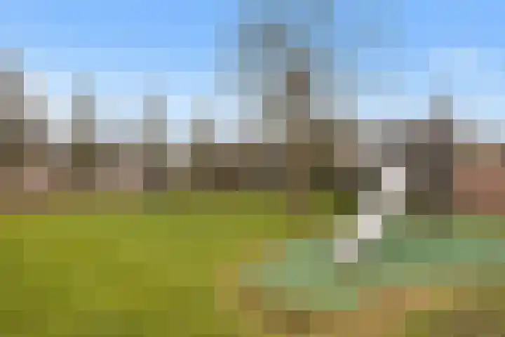 Rivierenlaan 8 Rozenburg thumbnail 31