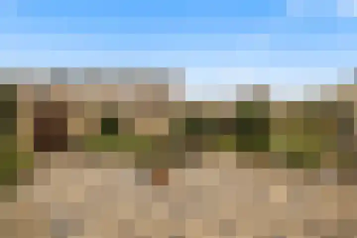 Rivierenlaan 8 Rozenburg thumbnail 6