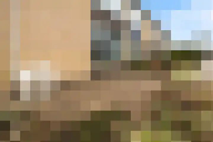 Rivierenlaan 8 Rozenburg thumbnail 8