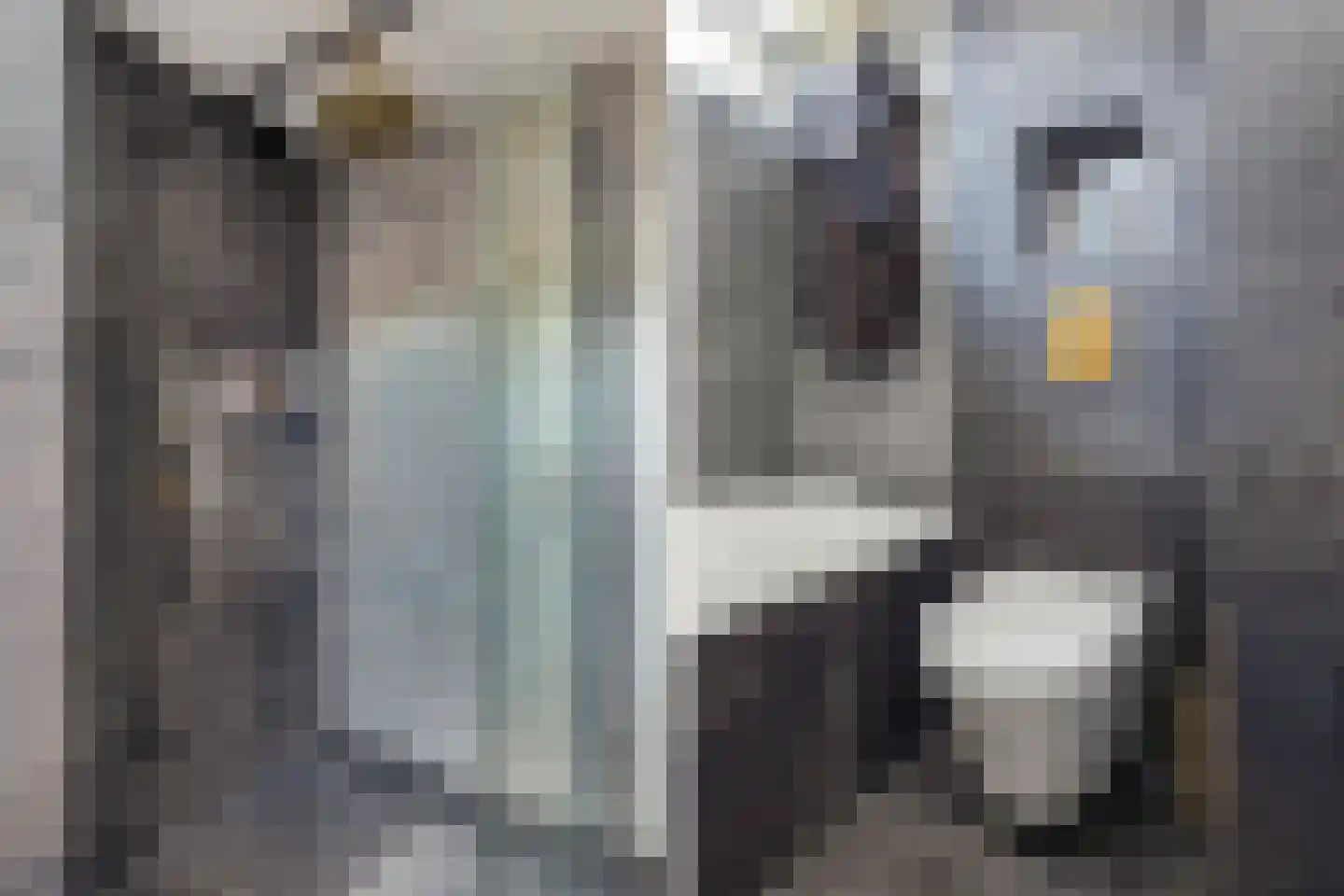 Rivierenlaan 90 Rozenburg thumbnail 40