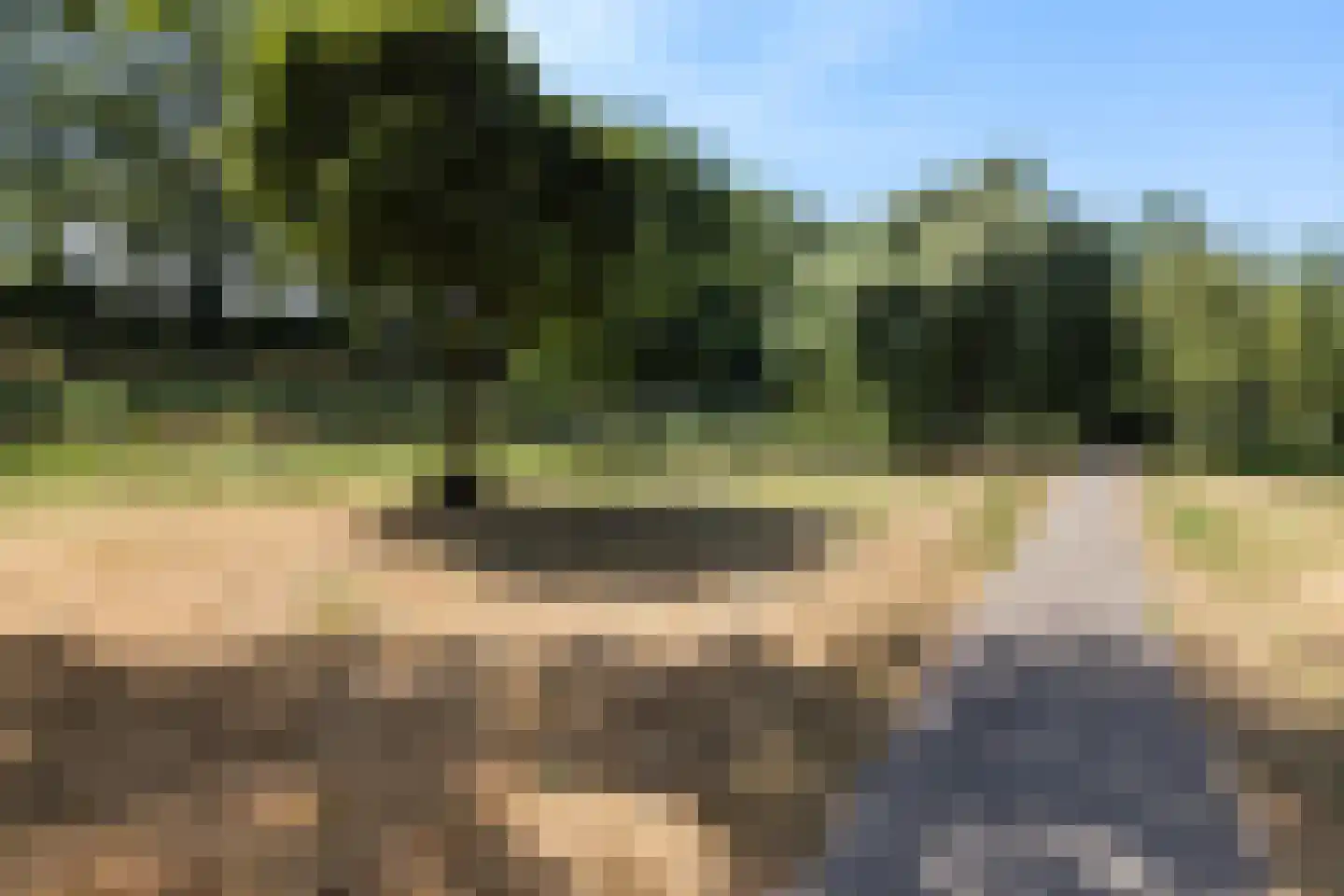 Rivierenlaan 90 Rozenburg thumbnail 46