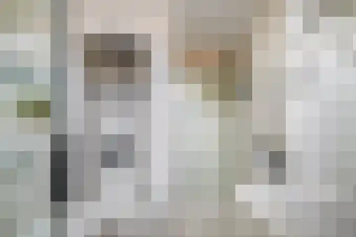 Rivierenlaan 92 Rozenburg thumbnail 25
