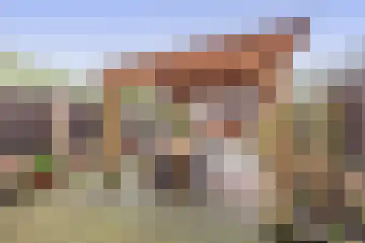 Rivierenlaan 92 Rozenburg thumbnail 36