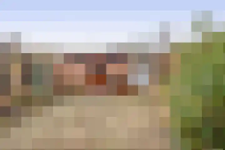 Rivierenlaan 92 Rozenburg thumbnail 38