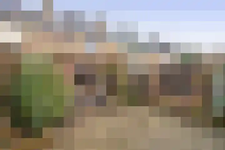 Rivierenlaan 92 Rozenburg thumbnail 5