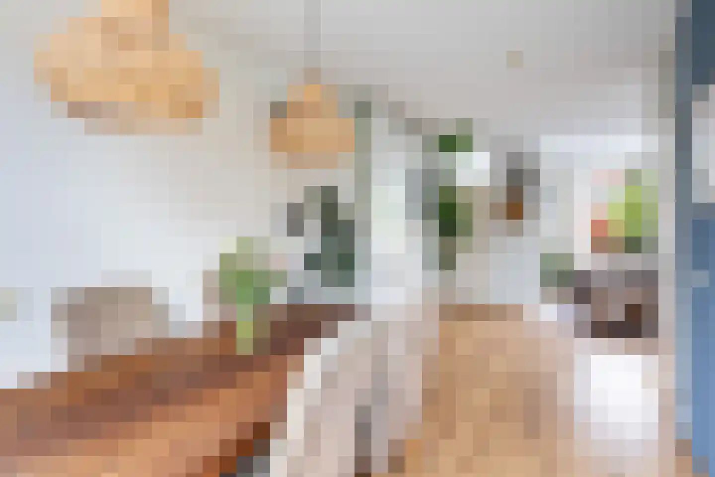 Rivierenlaan 93 Pijnacker thumbnail 13