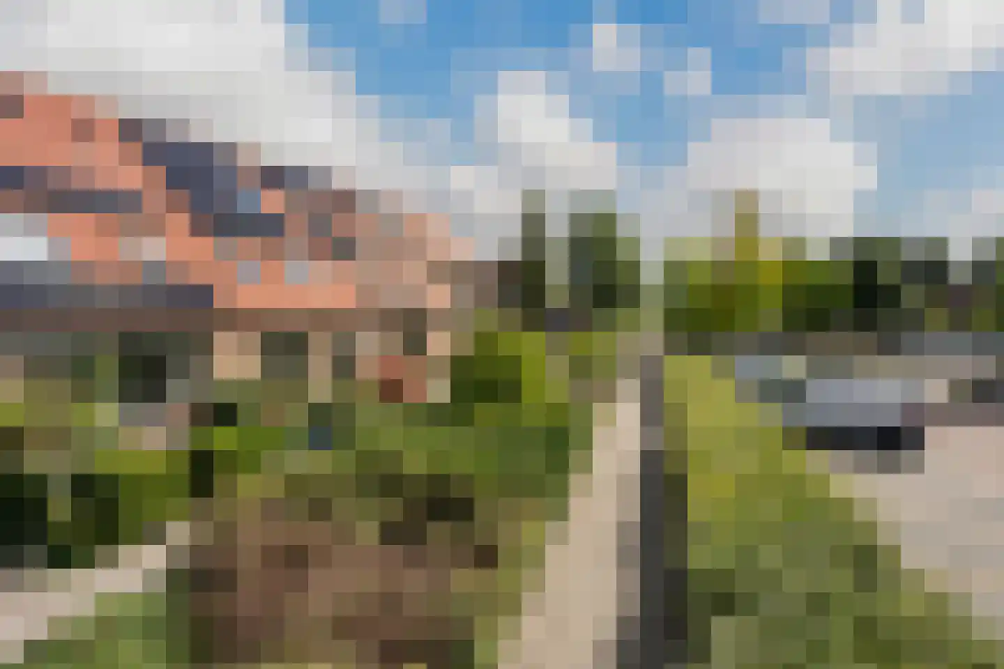 Rivierenlaan 93 Pijnacker thumbnail 24
