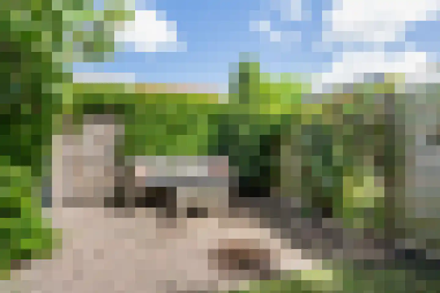 Rivierenlaan 93 Pijnacker thumbnail 25