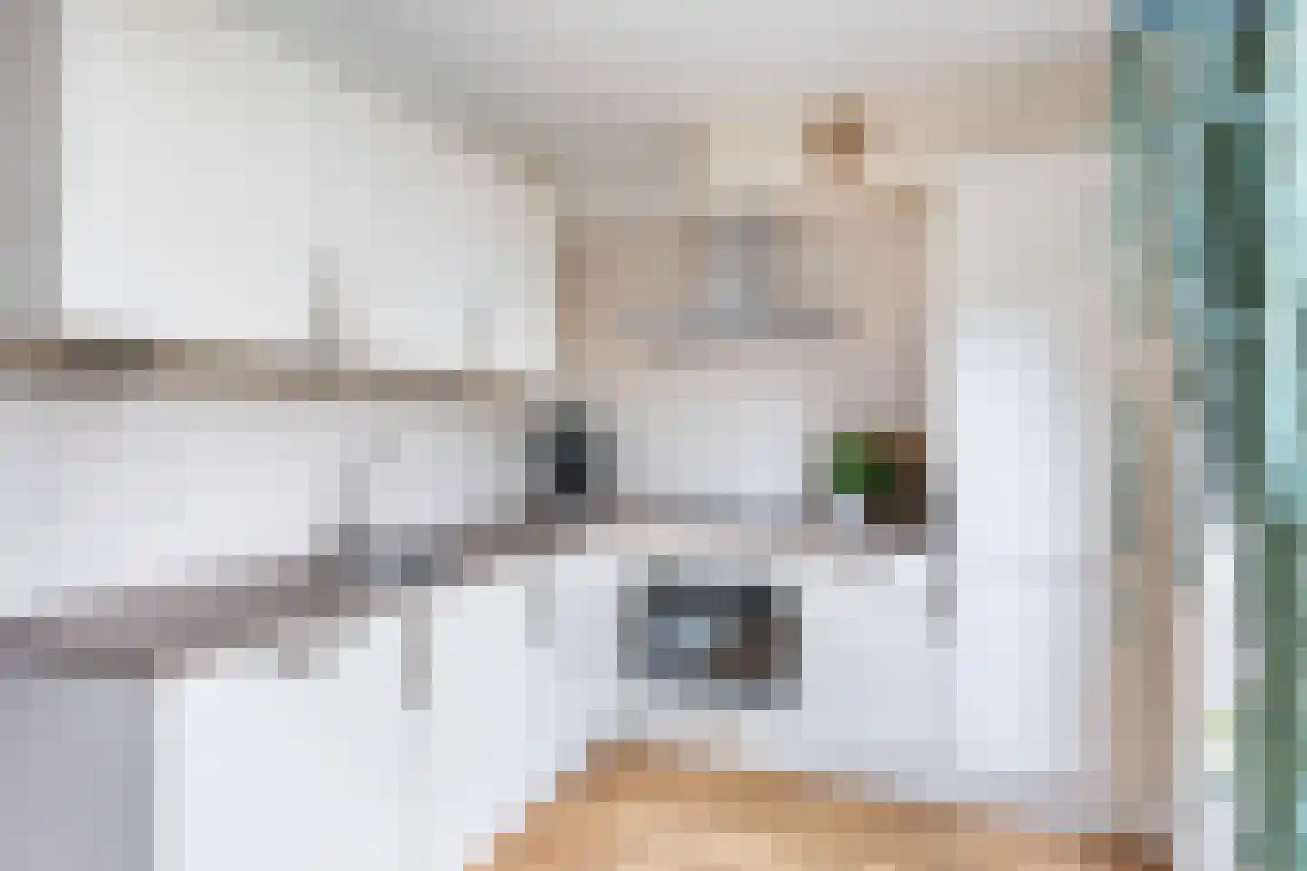 Rivierenlaan 93 Pijnacker thumbnail 4