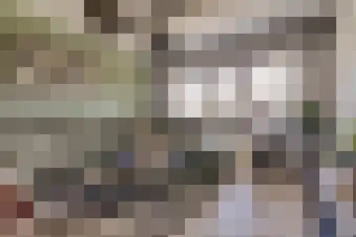 Rivierenlaan 94 Rozenburg thumbnail 13