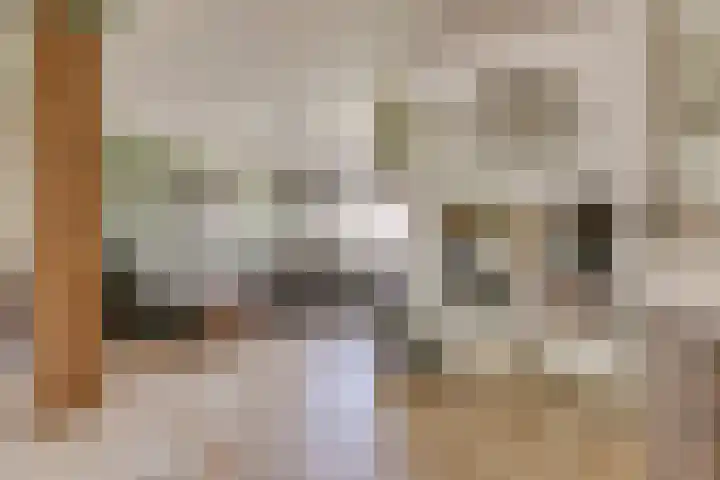Rivierenlaan 94 Rozenburg thumbnail 15