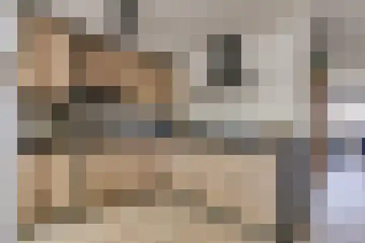 Rivierenlaan 94 Rozenburg thumbnail 22