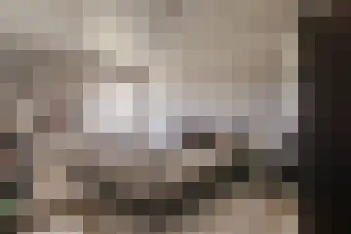 Rivierenlaan 94 Rozenburg thumbnail 29