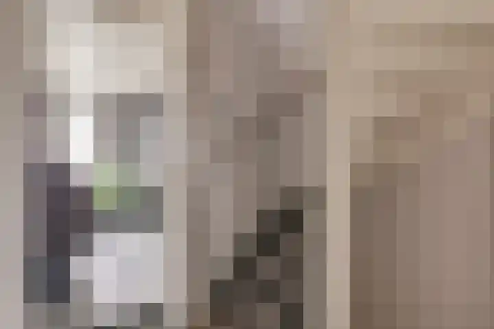 Rivierenlaan 94 Rozenburg thumbnail 36