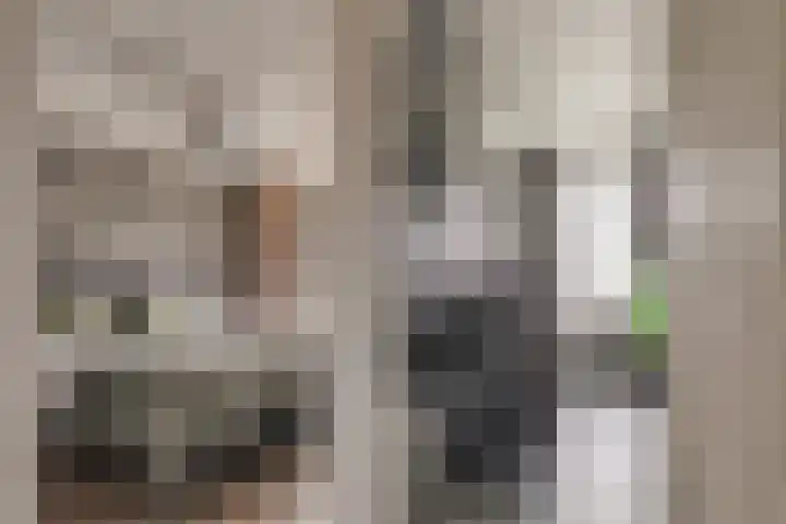 Rivierenlaan 94 Rozenburg thumbnail 37