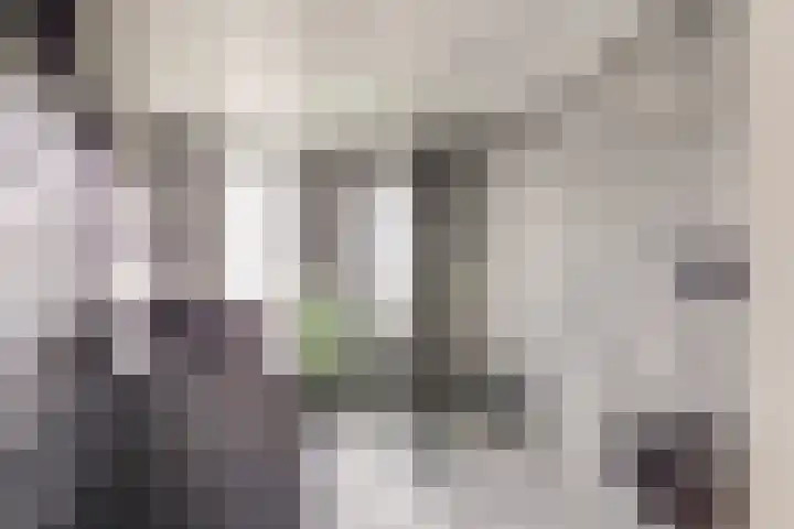 Rivierenlaan 94 Rozenburg thumbnail 4