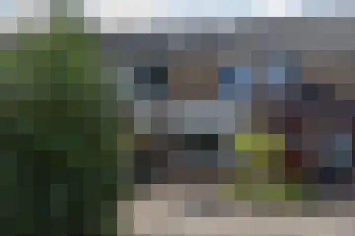 Rivierenlaan 94 Rozenburg thumbnail 6