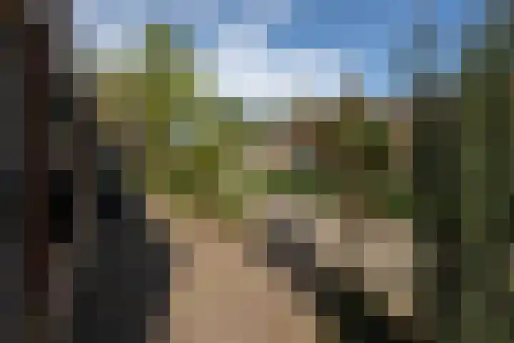 Rivierenlaan 94 Rozenburg thumbnail 8