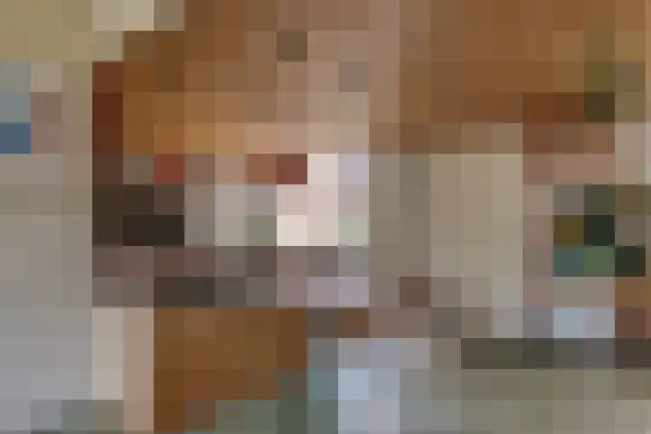 Rivierenlaan 96 Rozenburg thumbnail 12