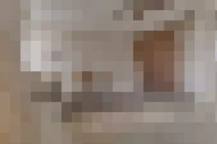 Rivierenlaan 96 Rozenburg thumbnail 22