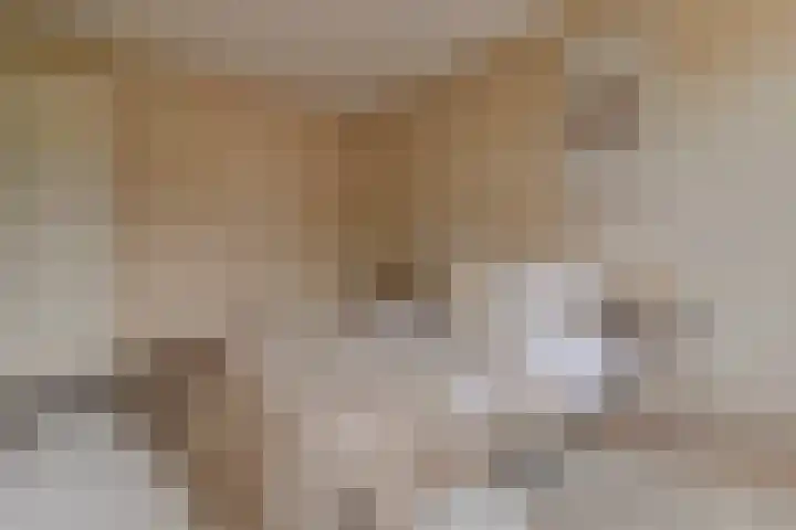 Rivierenlaan 96 Rozenburg thumbnail 25