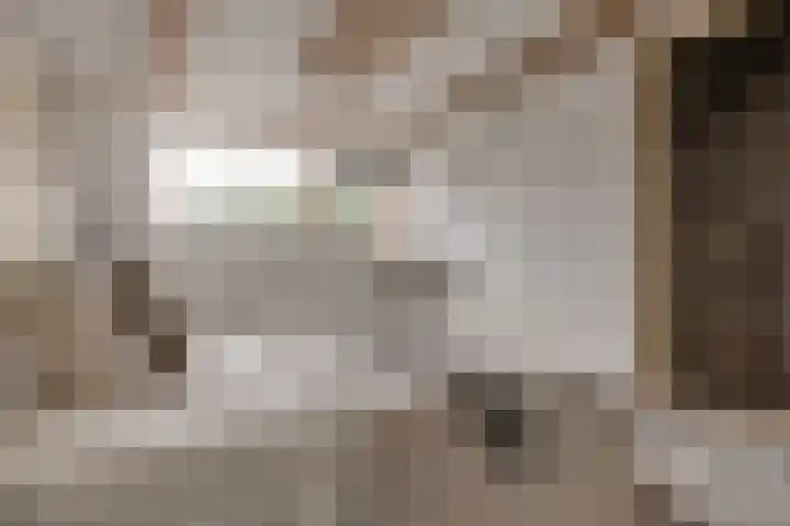 Rivierenlaan 96 Rozenburg thumbnail 34