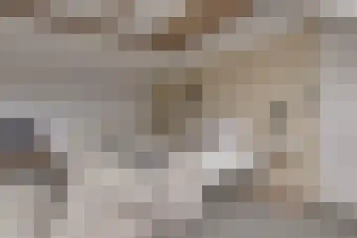 Rivierenlaan 96 Rozenburg thumbnail 35