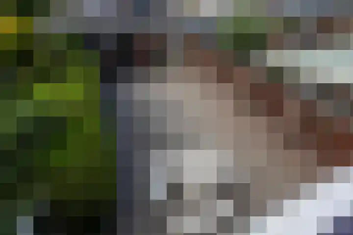 Rivierenlaan 96 Rozenburg thumbnail 36