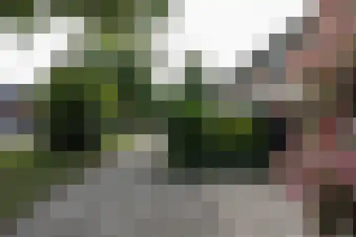 Rivierenlaan 96 Rozenburg thumbnail 41