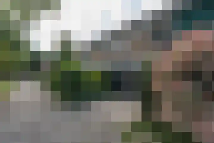Rivierenlaan 96 Rozenburg thumbnail 5