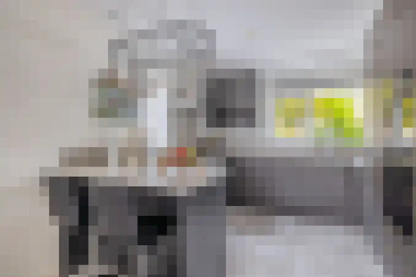 Rivierenlaan 98 Pijnacker thumbnail 10