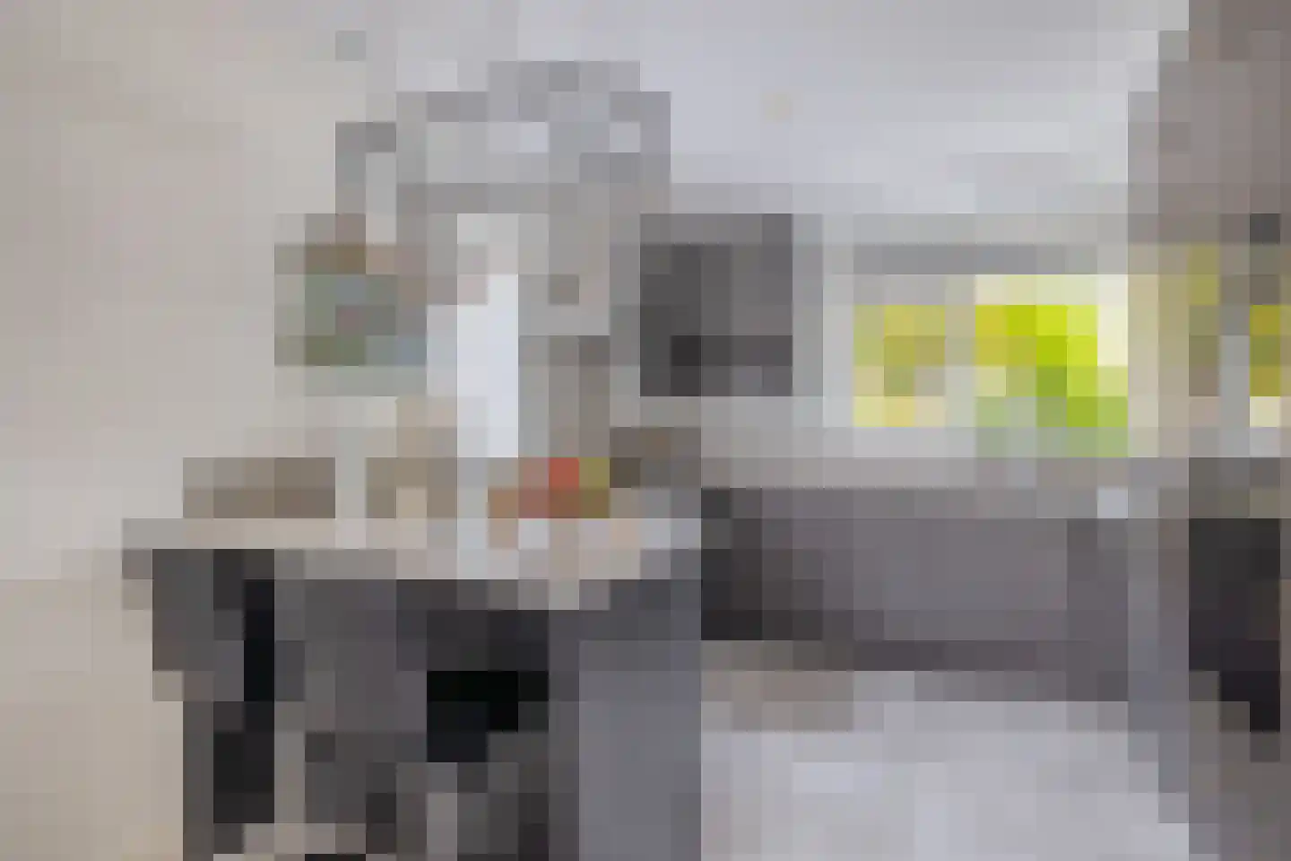 Rivierenlaan 98 Pijnacker thumbnail 11