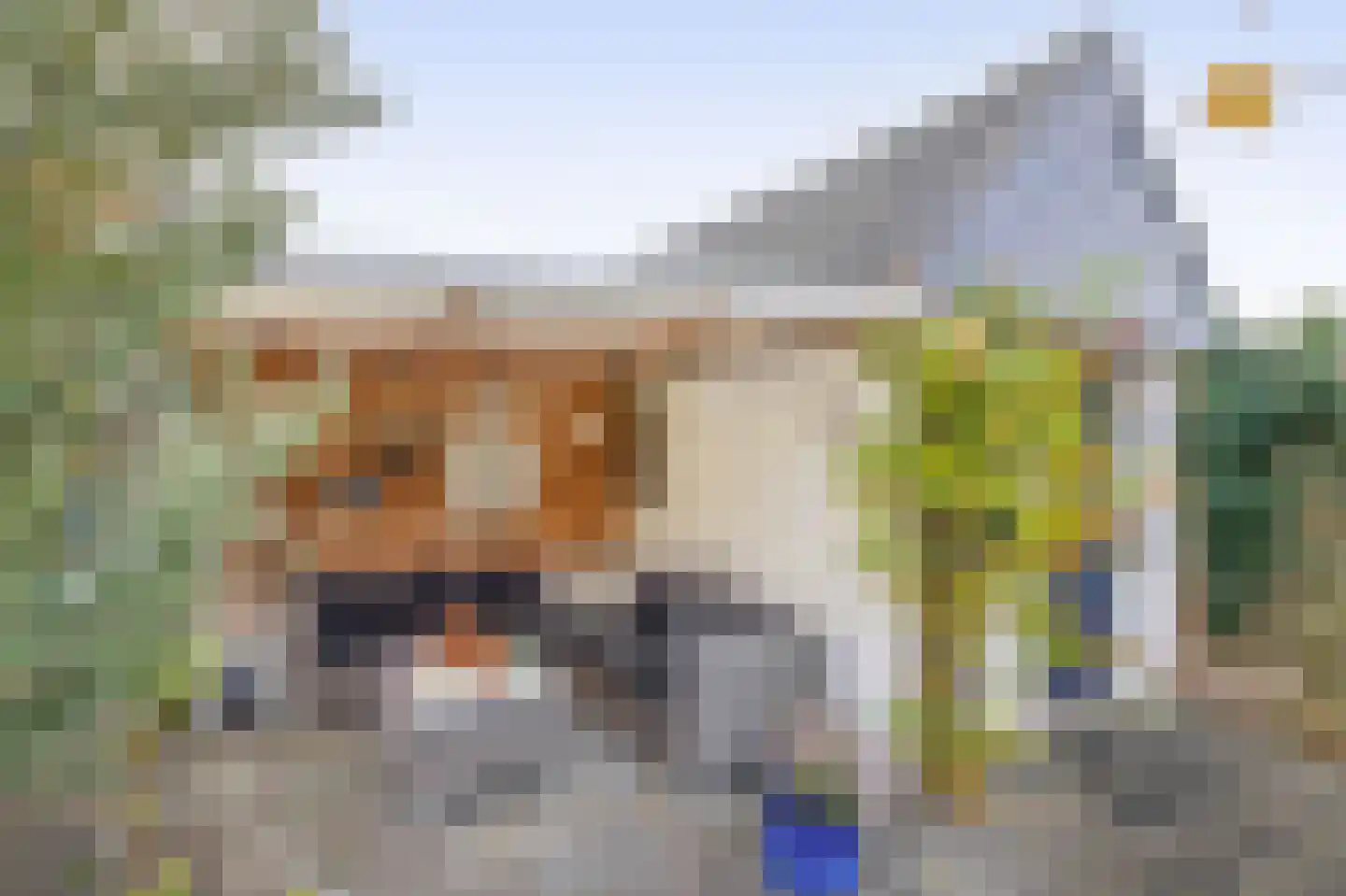 Rivierenlaan 98 Pijnacker thumbnail 19
