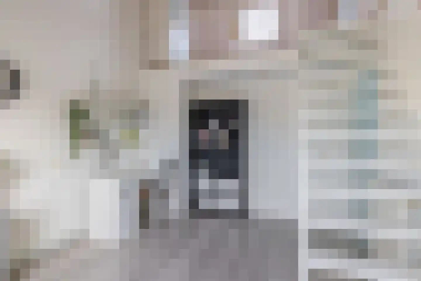 Rivierenlaan 98 Pijnacker thumbnail 30