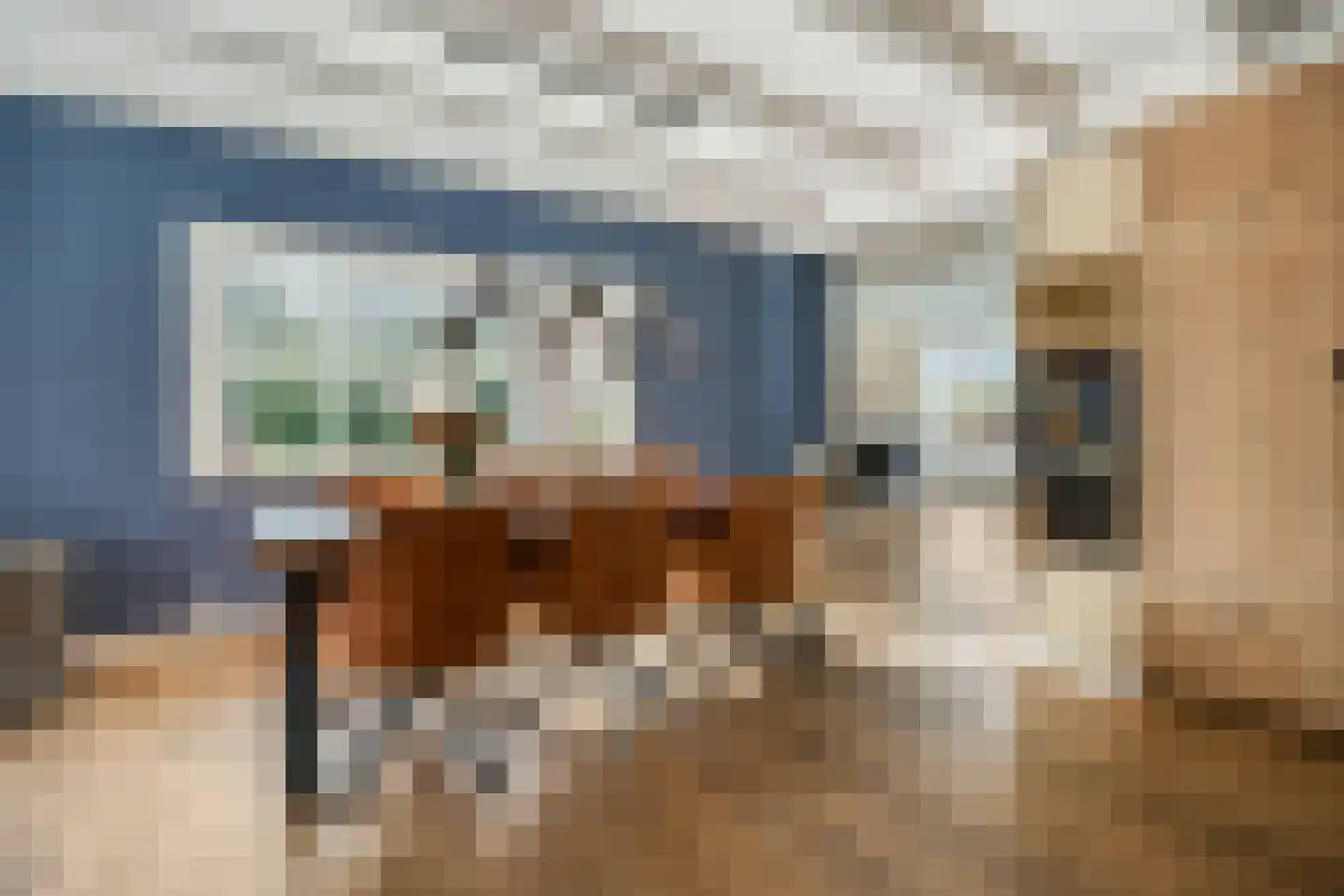 Rivierenlandlaan 2 Tiel thumbnail 12