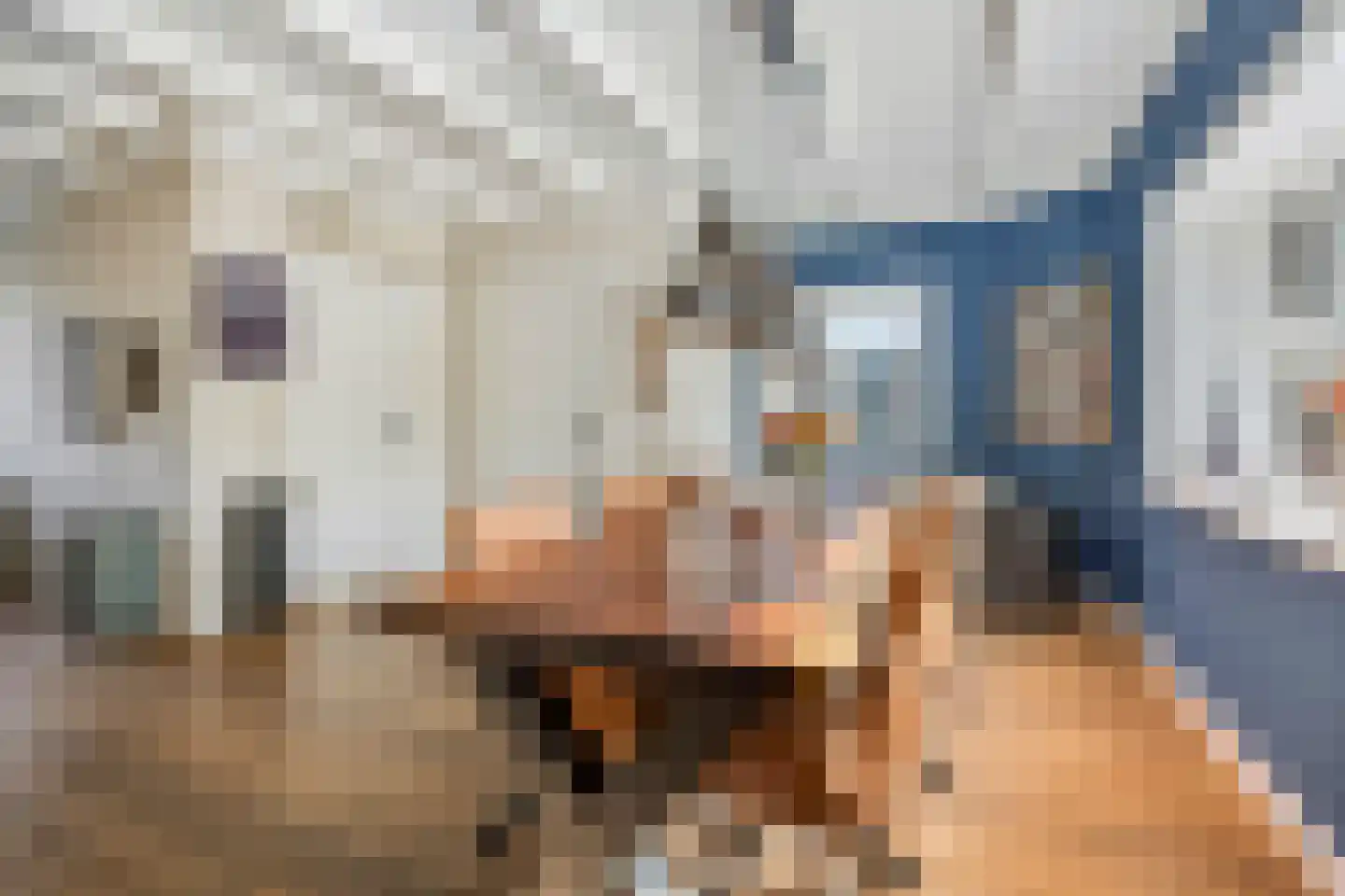 Rivierenlandlaan 2 Tiel thumbnail 13