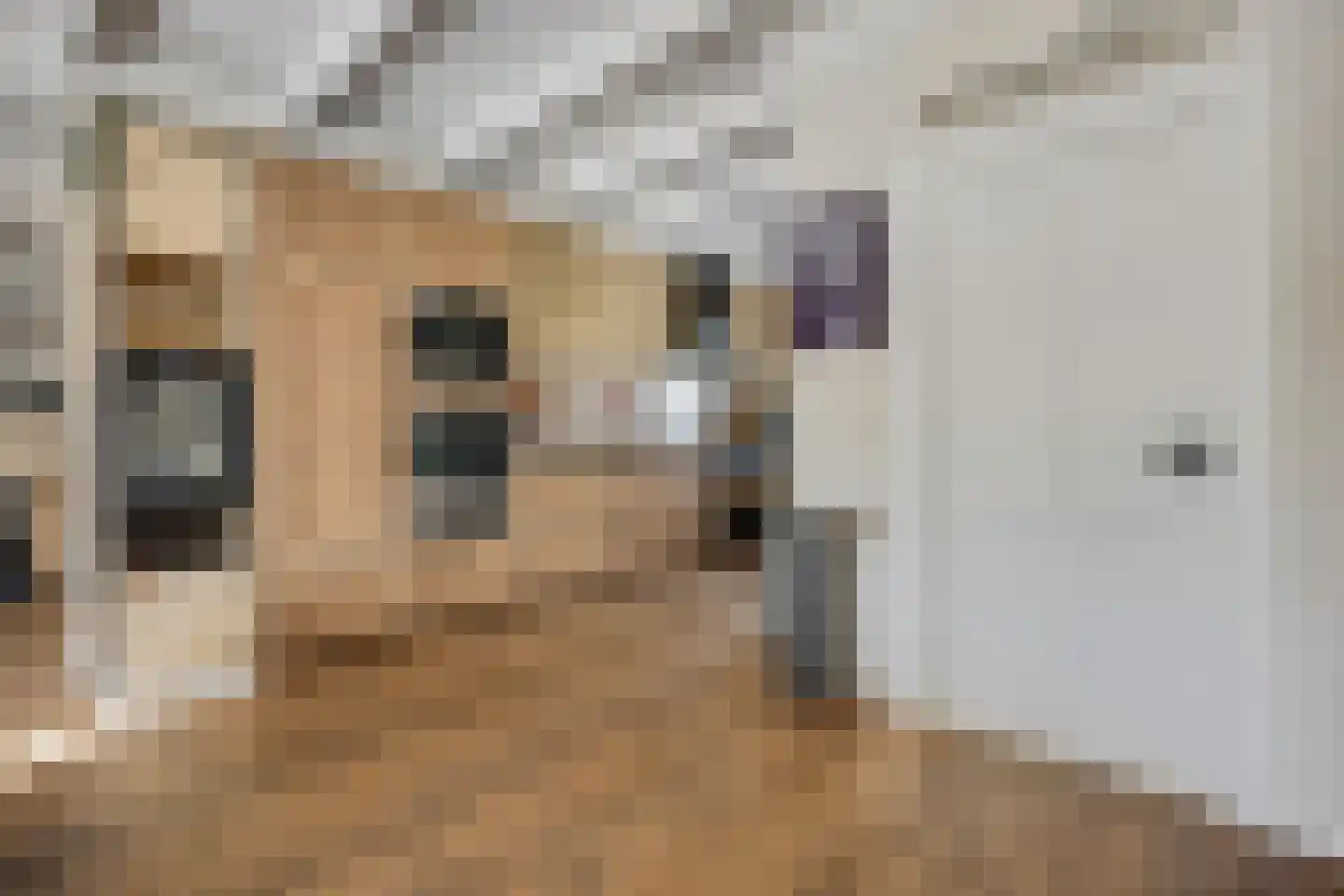 Rivierenlandlaan 2 Tiel thumbnail 16
