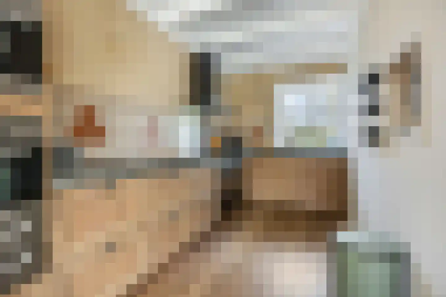 Rivierenlandlaan 2 Tiel thumbnail 17