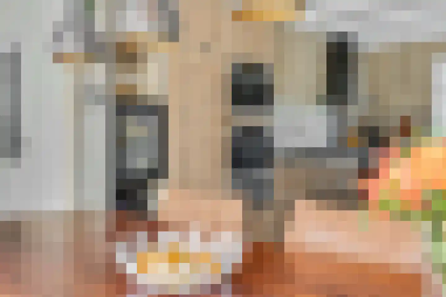 Rivierenlandlaan 2 Tiel thumbnail 23