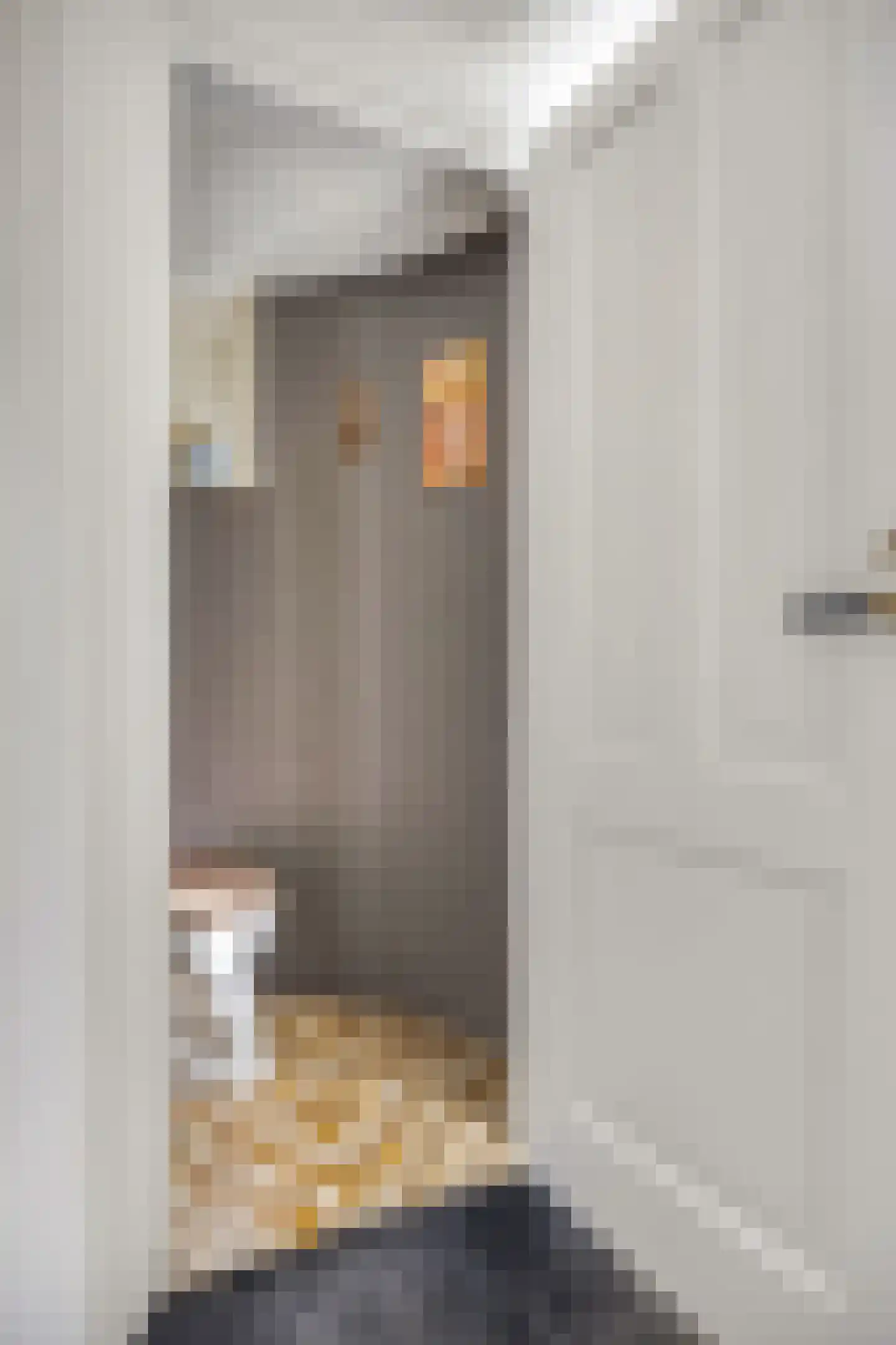 Rivierenlandlaan 2 Tiel thumbnail 31