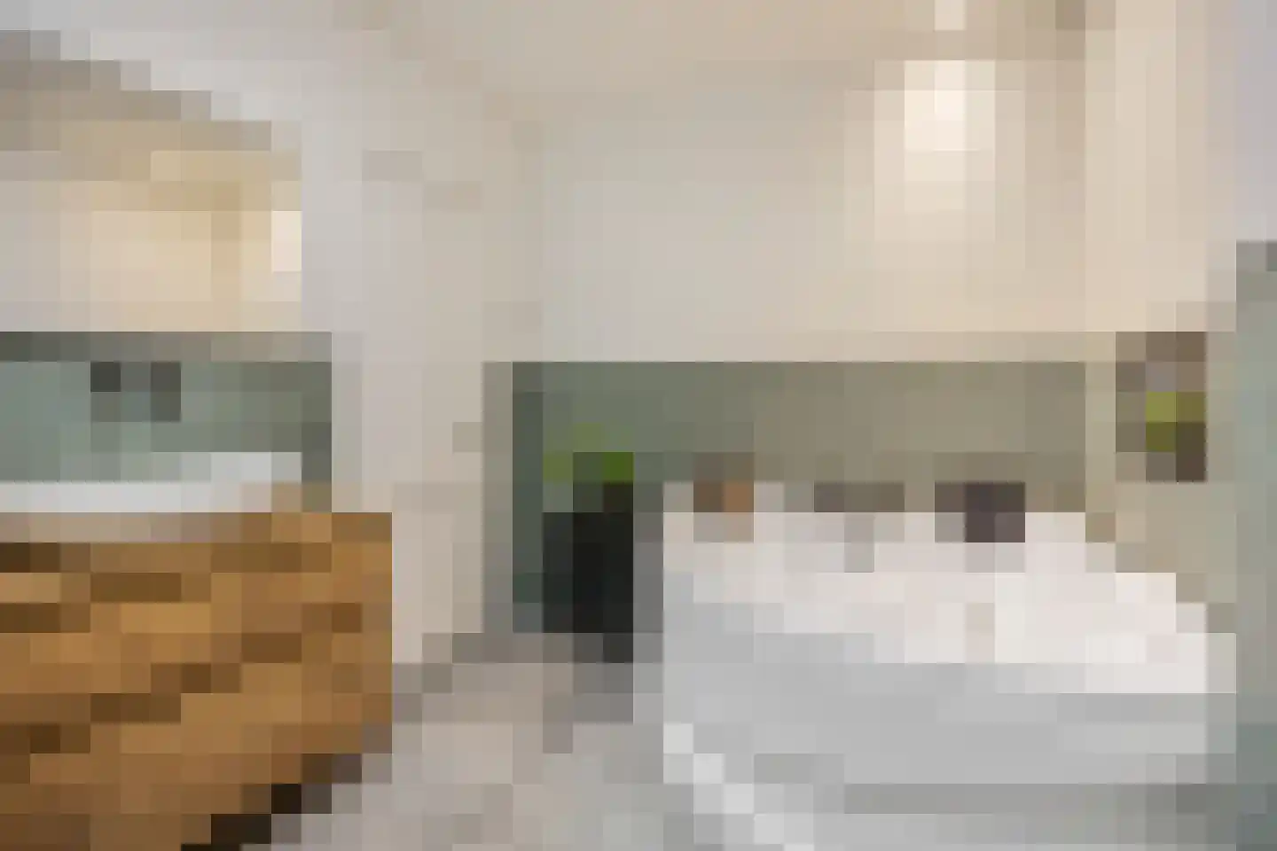 Rivierenlandlaan 2 Tiel thumbnail 37