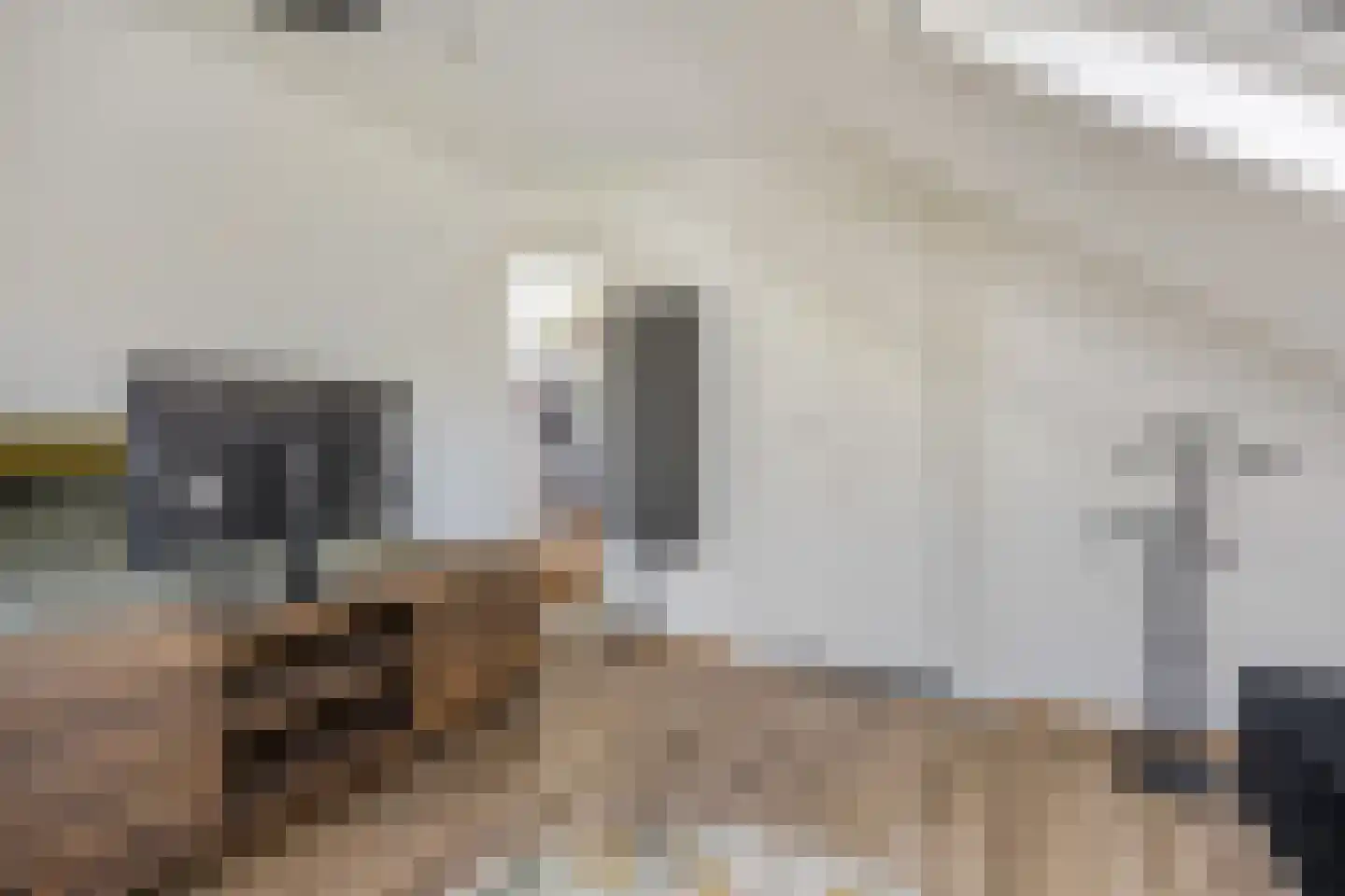 Rivierenlandlaan 2 Tiel thumbnail 40
