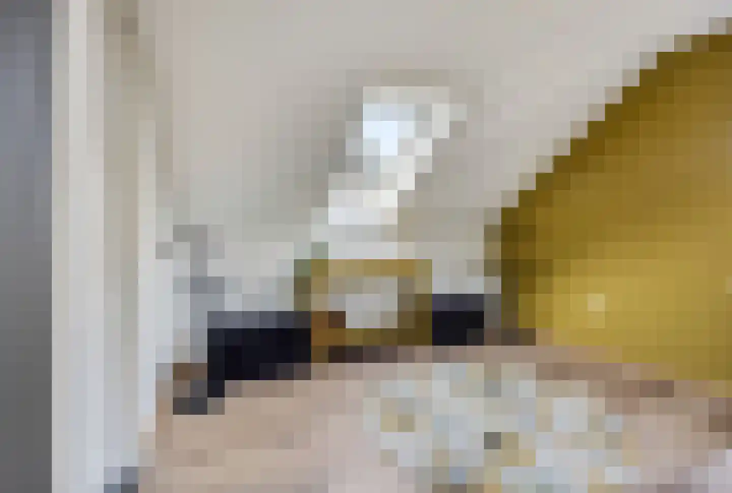 Rivierenlandlaan 2 Tiel thumbnail 41