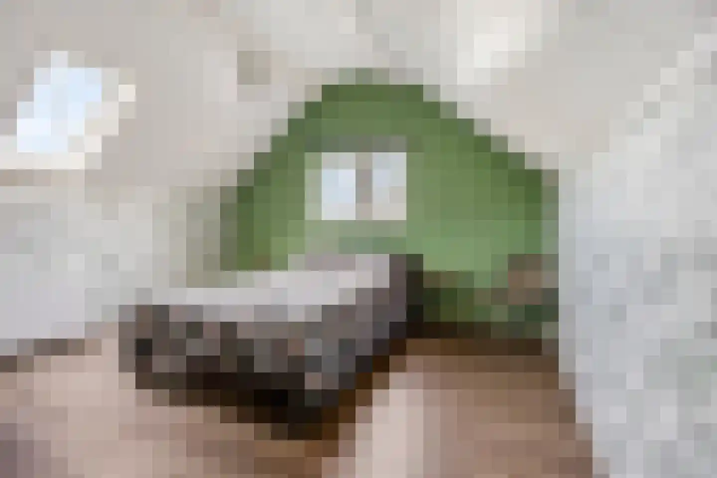 Rivierenlandlaan 2 Tiel thumbnail 42