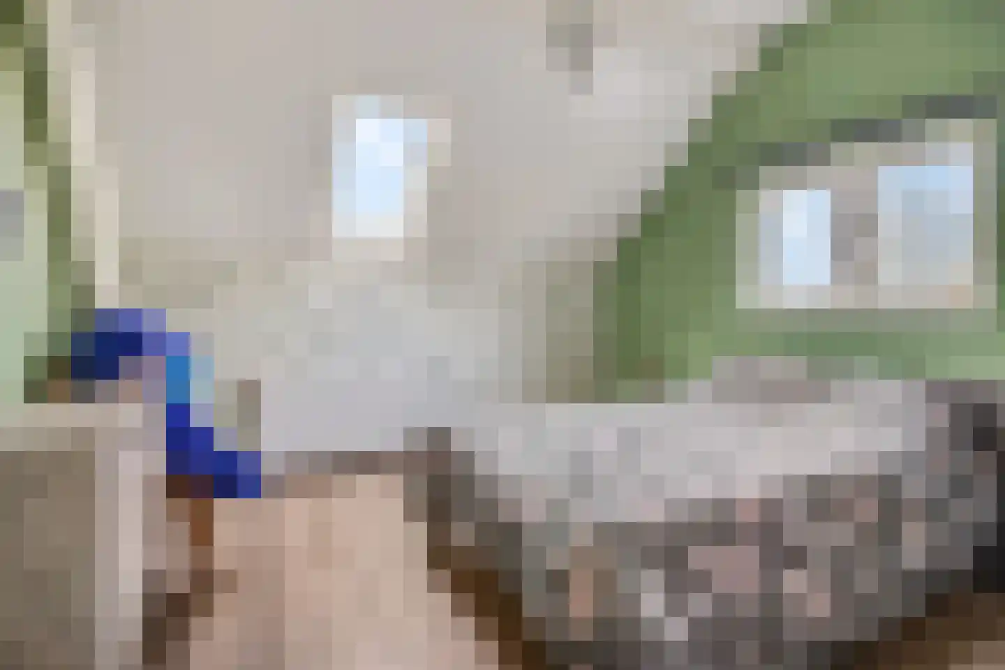 Rivierenlandlaan 2 Tiel thumbnail 43