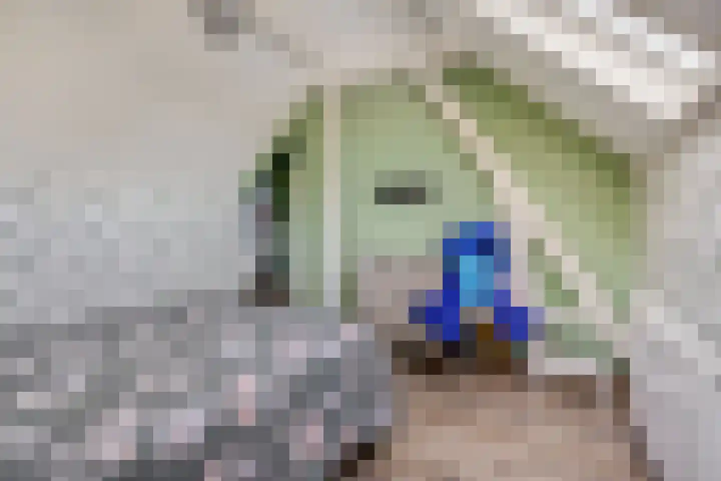 Rivierenlandlaan 2 Tiel thumbnail 44