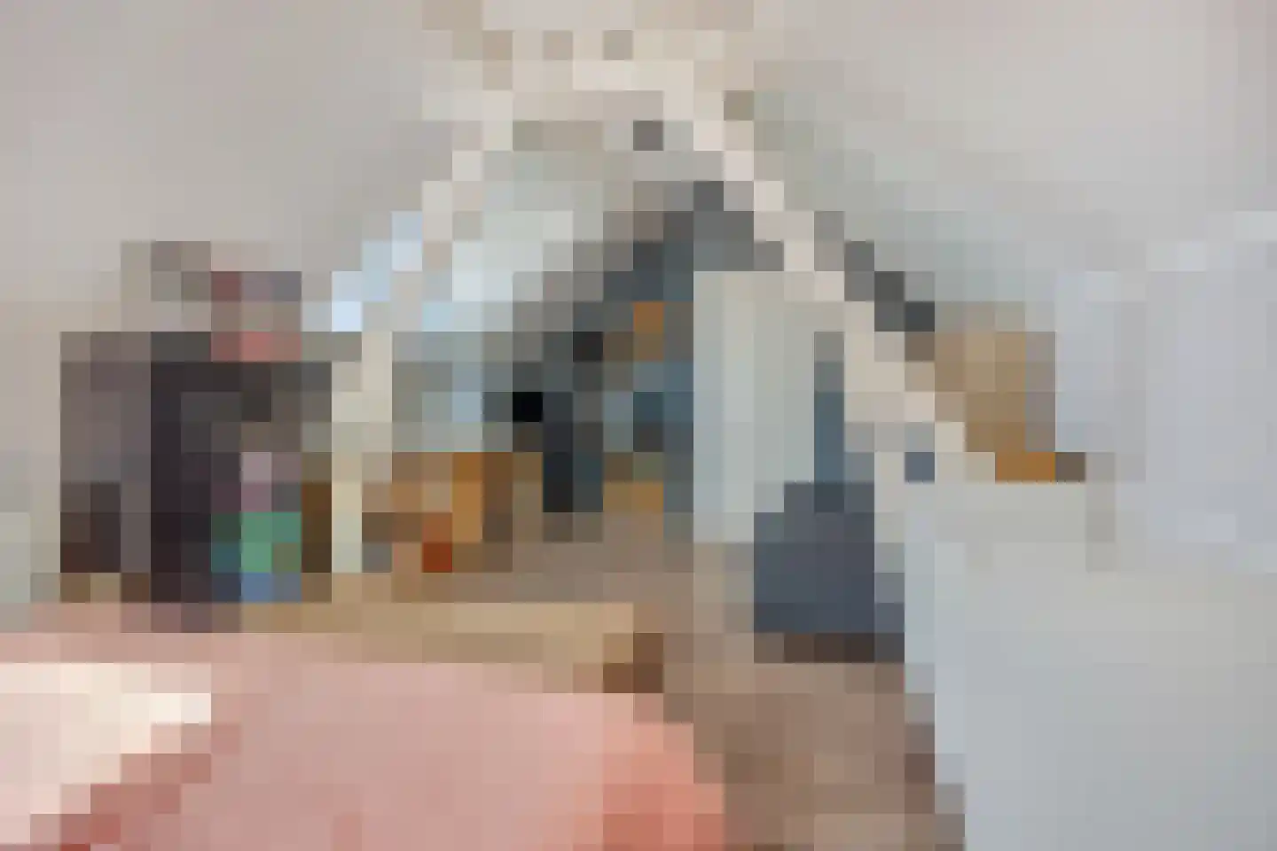 Rivierenlandlaan 2 Tiel thumbnail 49