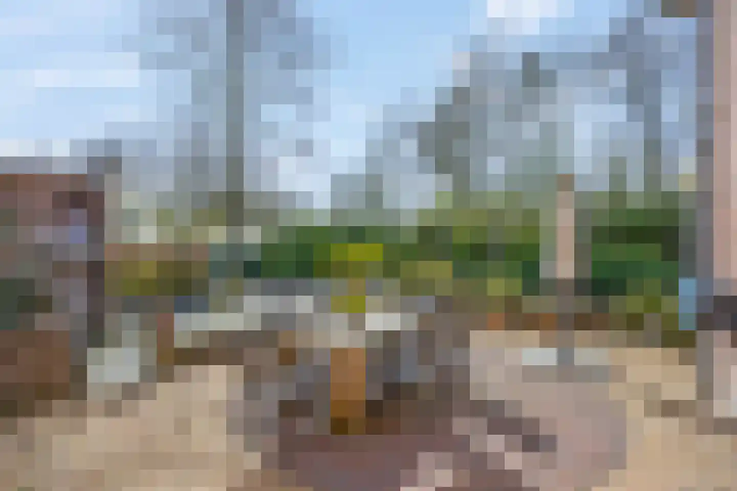 Rivierenlandlaan 2 Tiel thumbnail 51